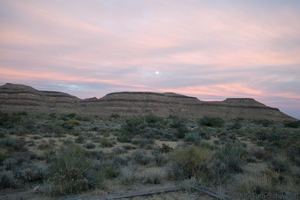 Woods Mountains, Mojave National Preserve, San Bernardino County, California