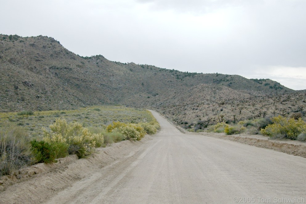 Hackberry Complex Fire, Pinto Mountain, Mojave National Preserve, San Bernardino County, California