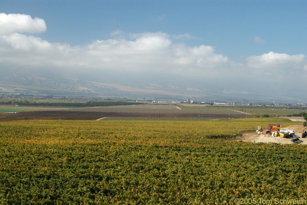 Salinas Valley, Monterey County, California