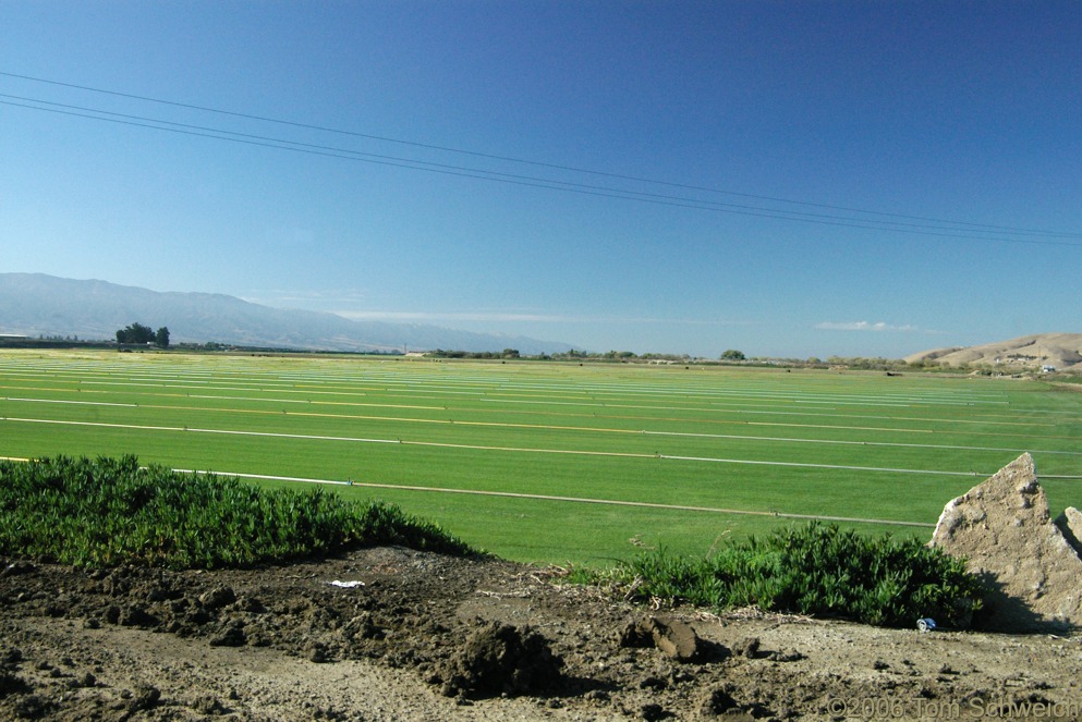 Salinas Valley, Monterey County, California