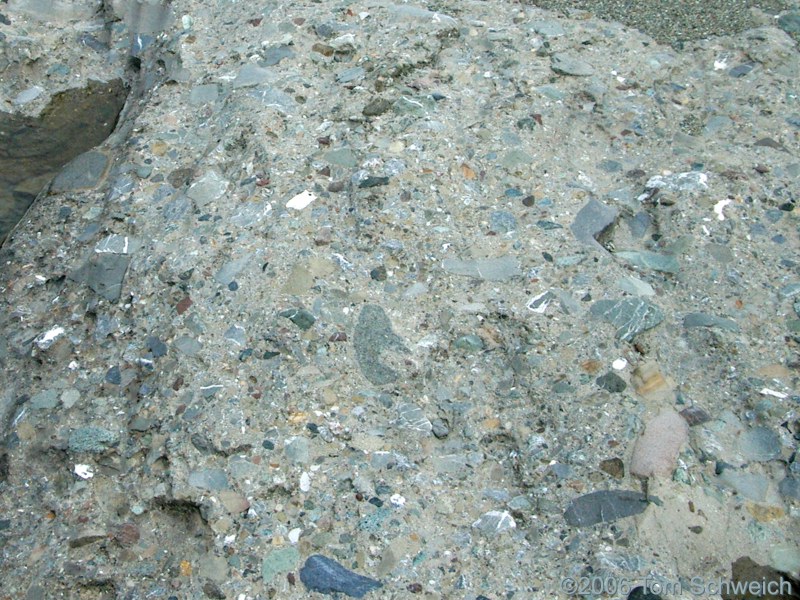 Serpentine Conglomerate, San Benito River, San Benito County, California