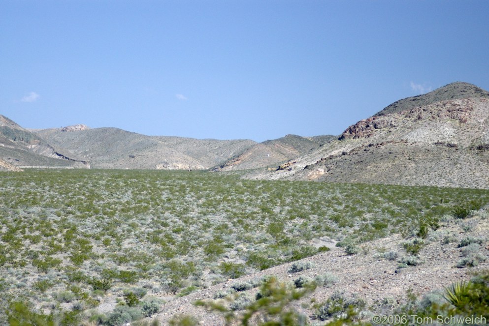 Eastern Star Wash, Shadow Mountains, San Bernardino County, California