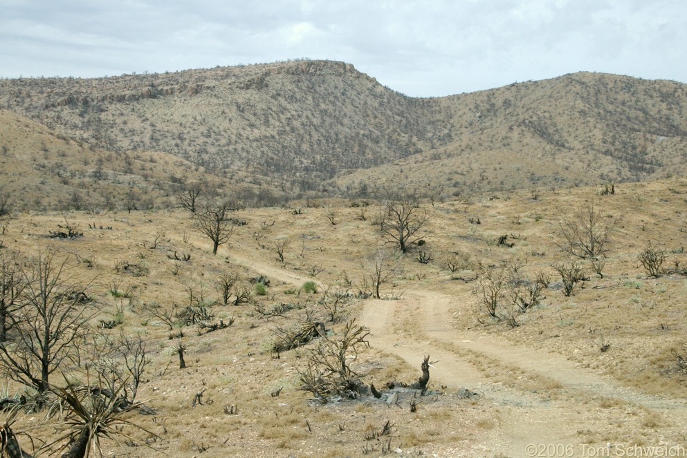 Wild Horse Canyon, Mojave National Preserve, San Bernardino County, California