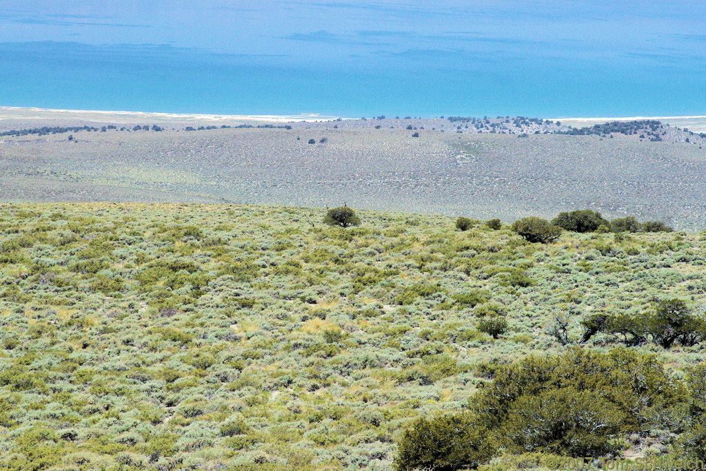 California, Mono County, Cowtrack Mountain, Mono Lake