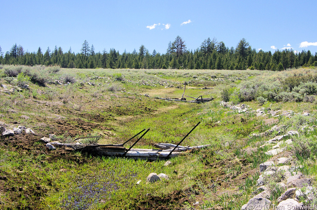 California, Mono County, Sagehen Meadow