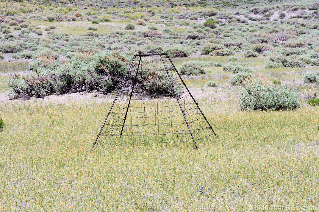 California, Mono County, Big Sand Flat