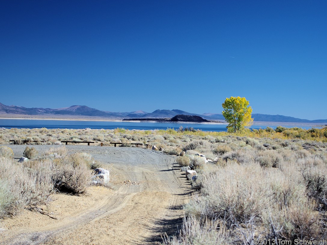 California, Mono County, Lee Vining Creek delta