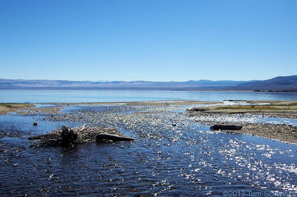 California, Mono County, Lee Vining Creek delta