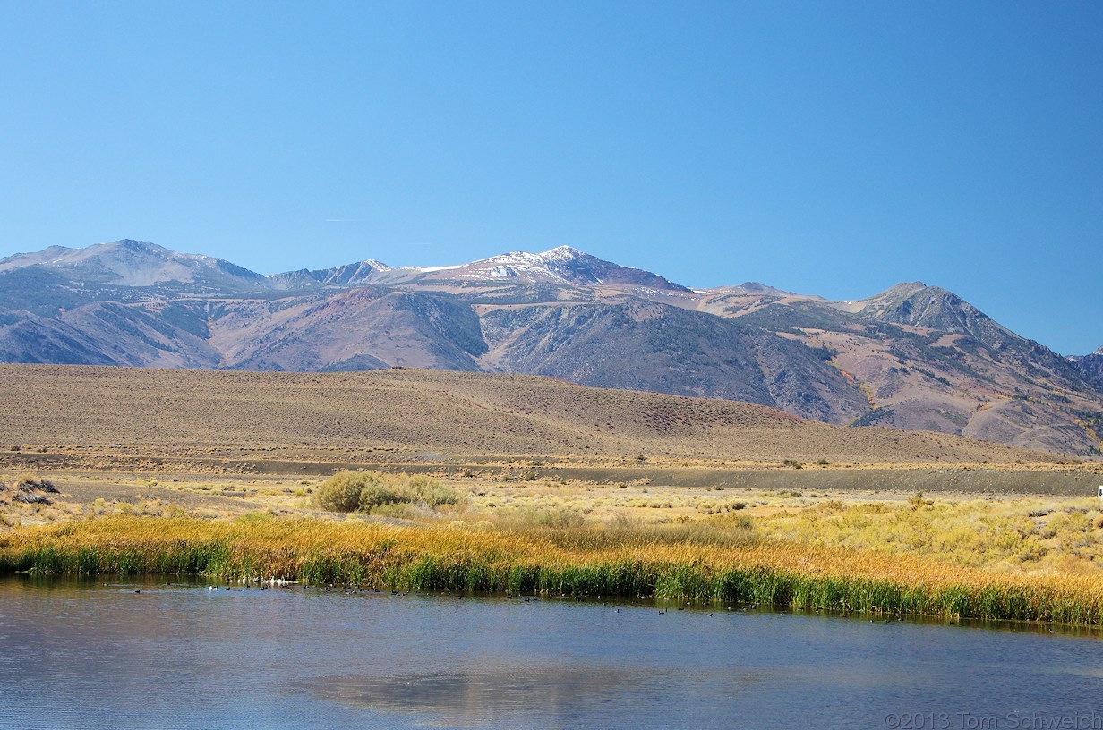 California, Mono County, County Ponds