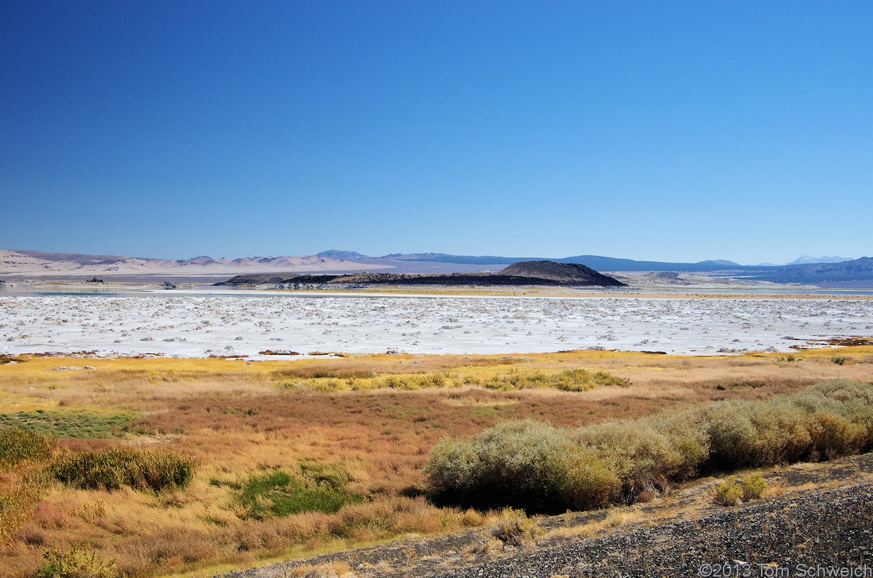 California, Mono County, Negit Island