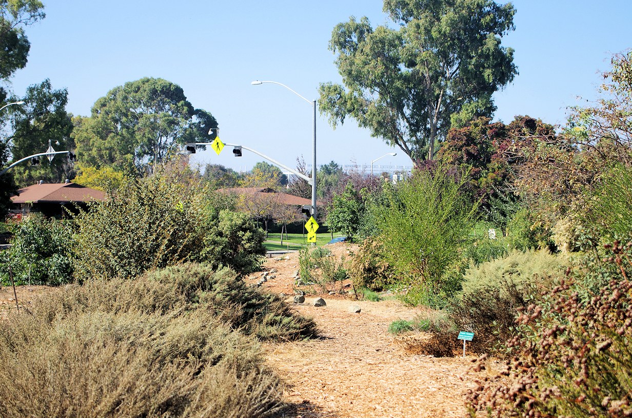 California, Santa Clara County, Ulistac Natural Area