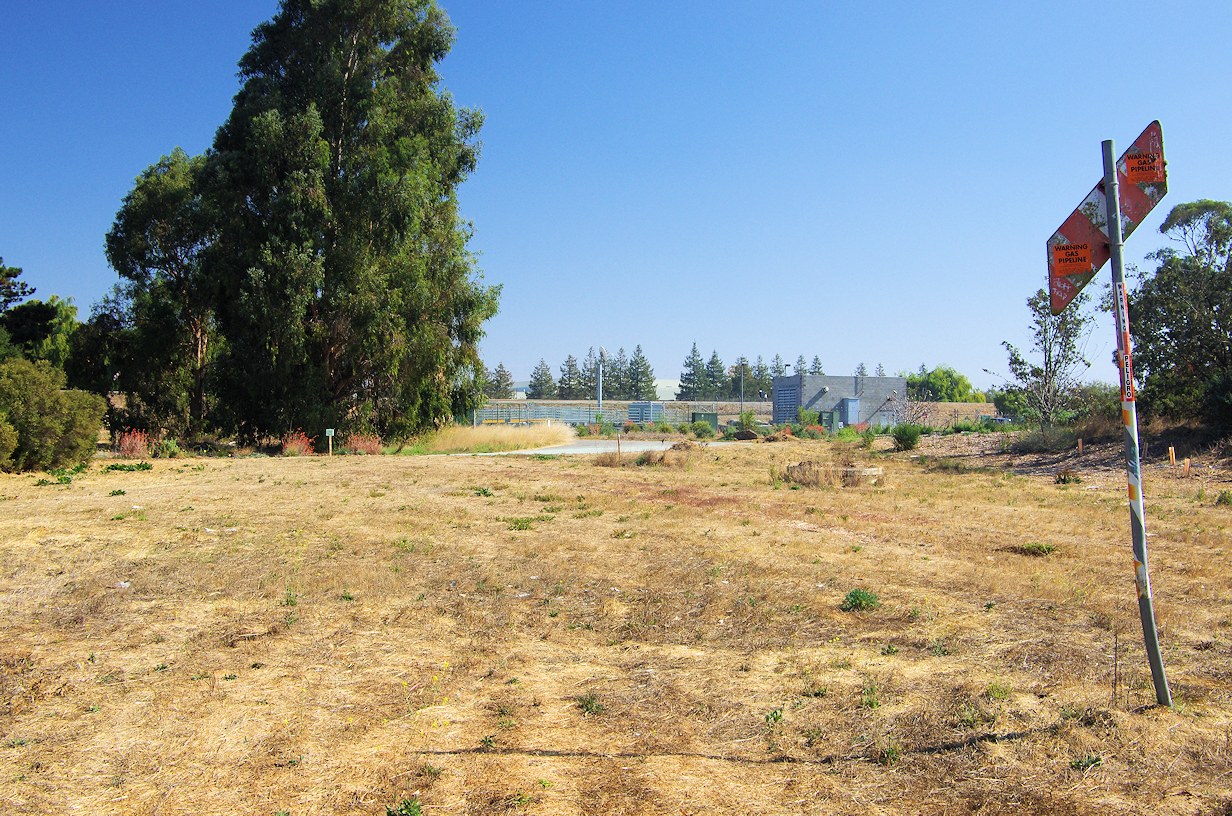 California, Santa Clara County, Ulistac Natural Area