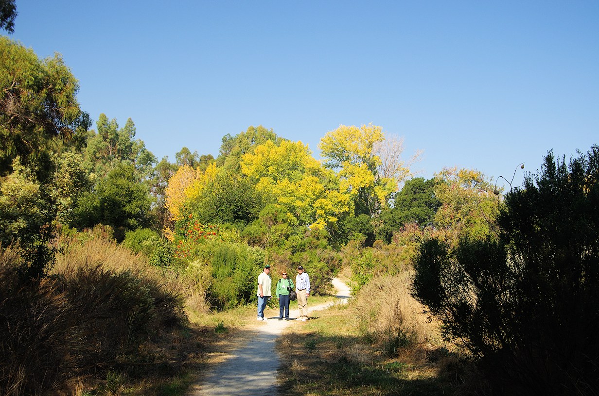 California, Santa Clara County, Ulistac Natural Area