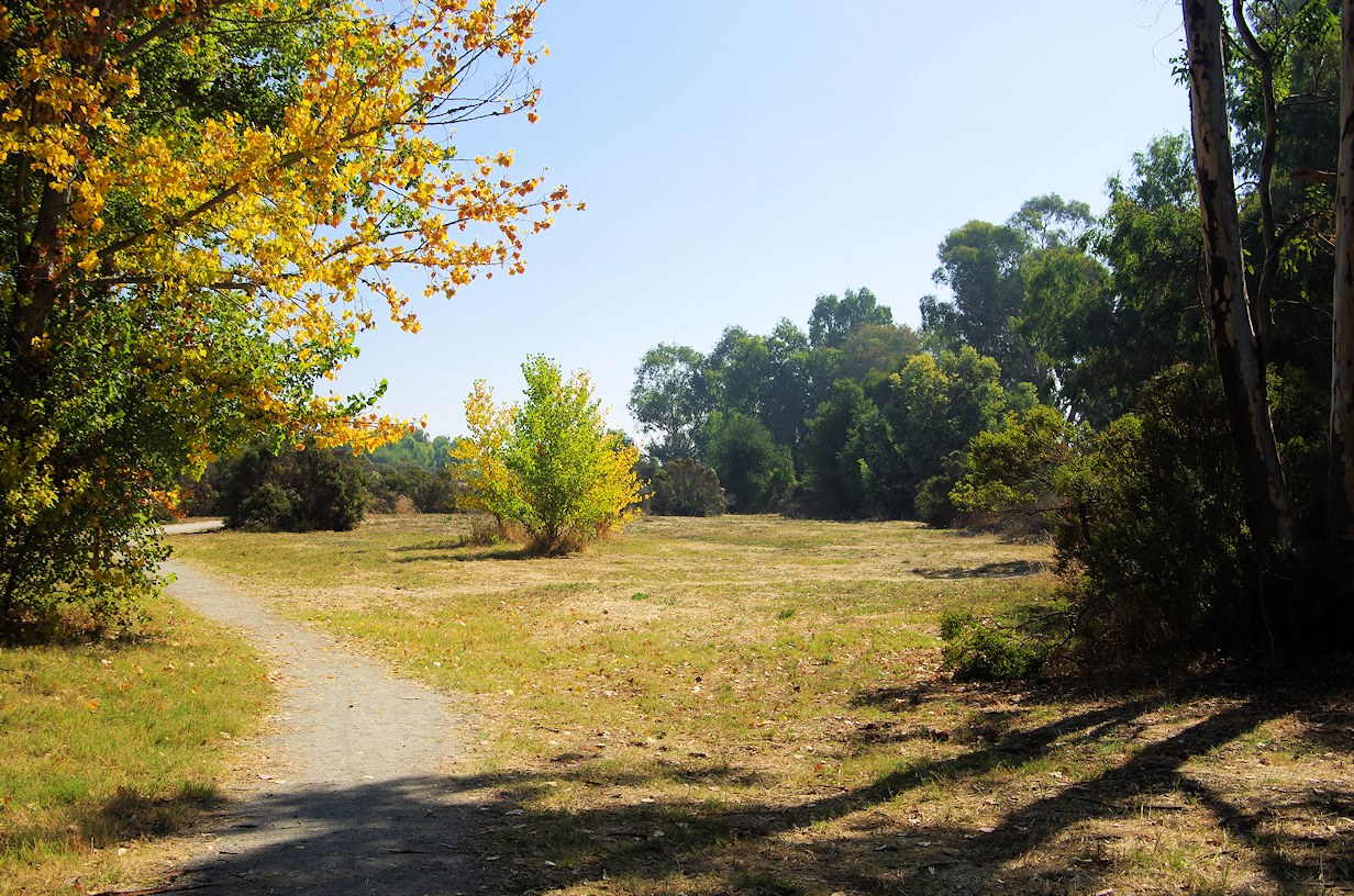 California, Santa Clara County, Ulistac Natural Area