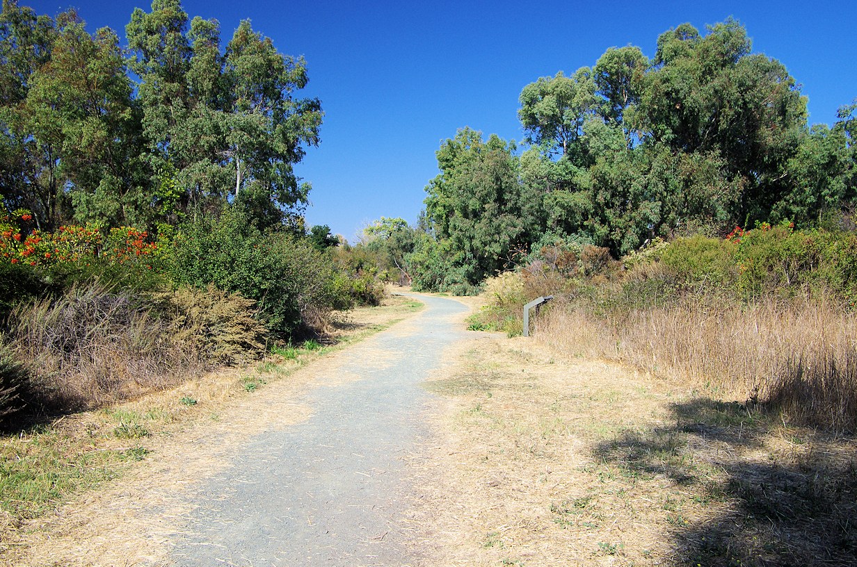 California, Santa Clara County, Ulistac Natural Area