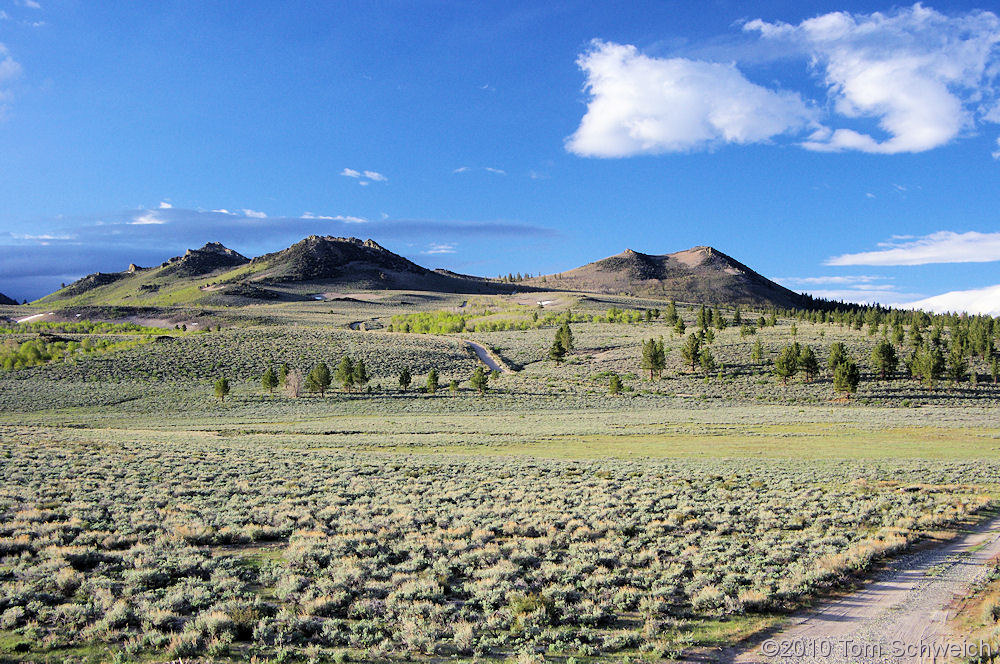 California, Mono County, Sagehen Meadow