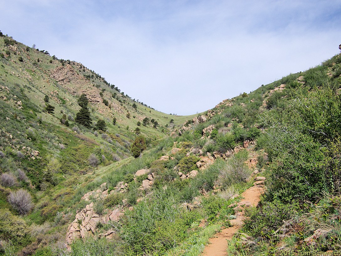 Colorado, Jefferson County, Nightbird Gulch