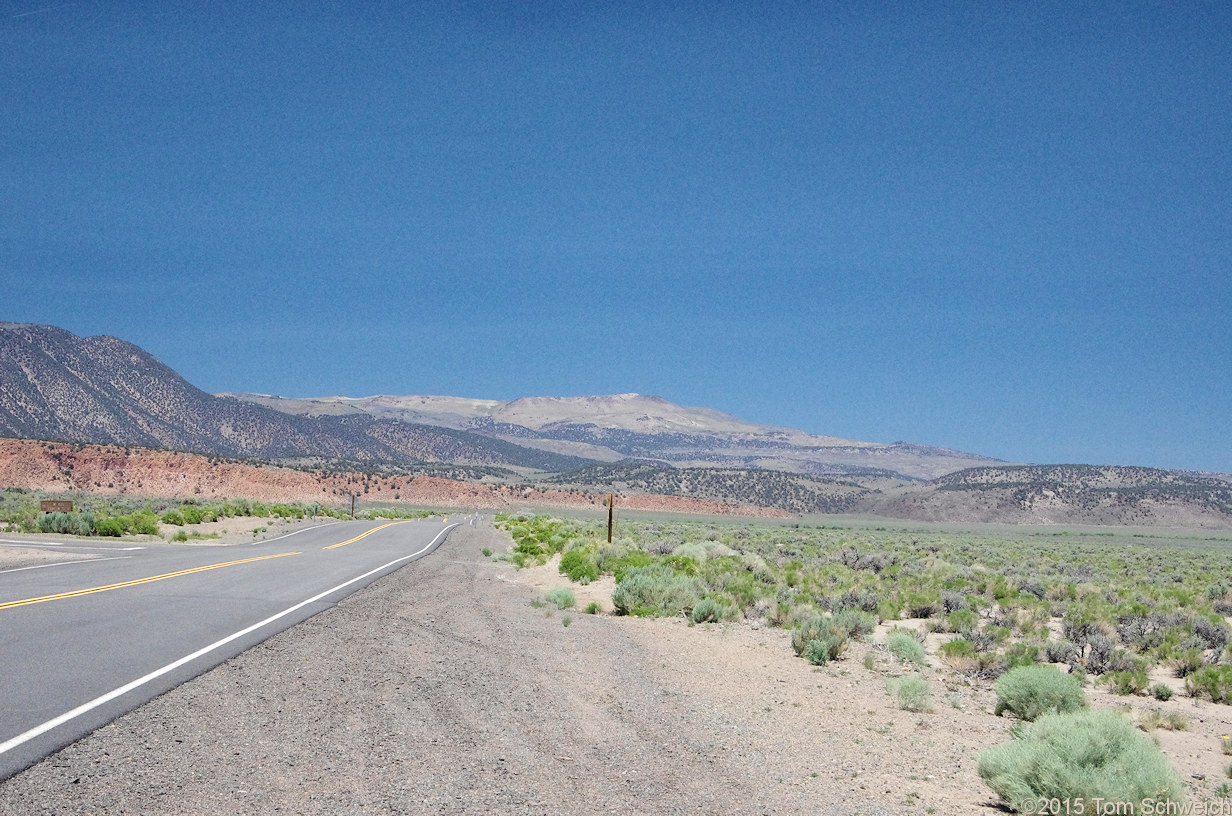 California, Mono County, Cowtrack Mountain