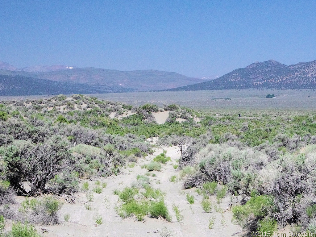 California, Mono County, Mono Valley