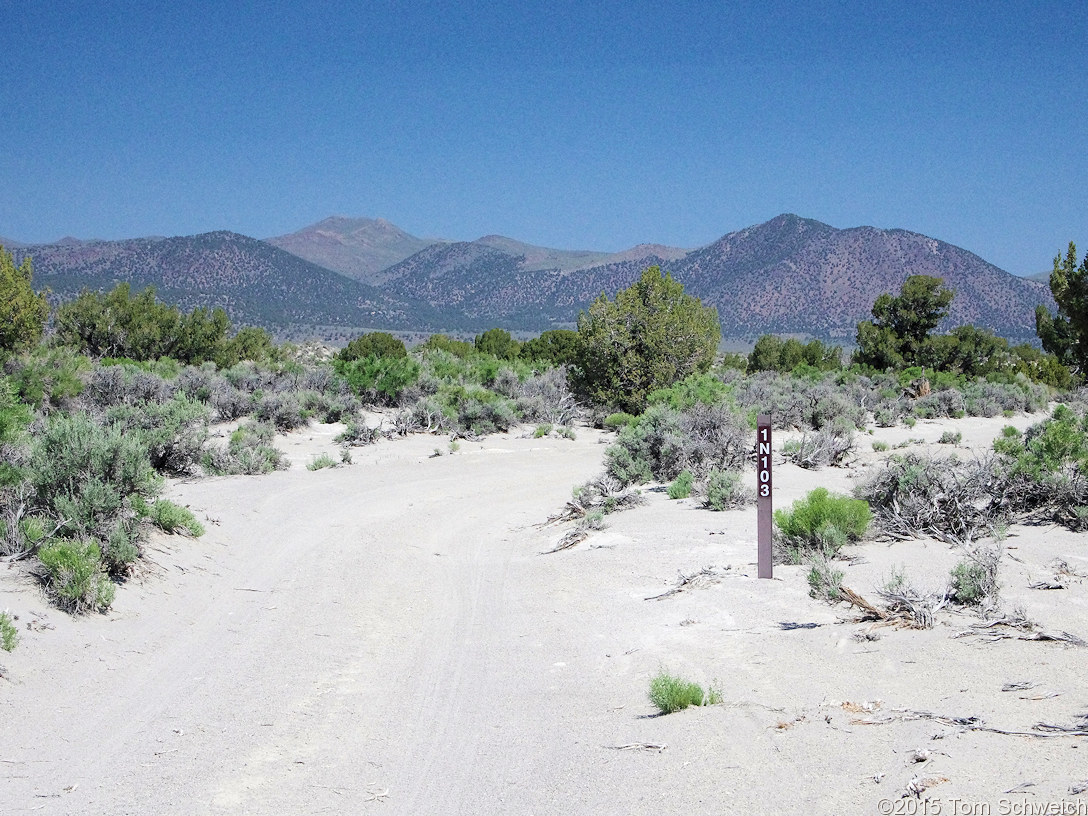 California, Mono County, Mono Valley, 03N103