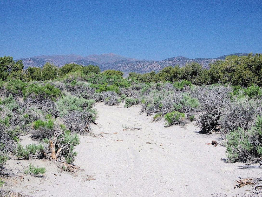 California, Mono County, Mono Valley, 01N54