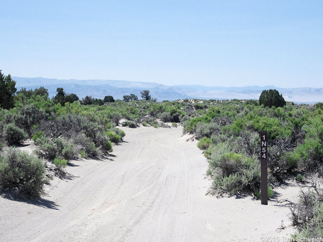 California, Mono County, Mono Valley, 01N54