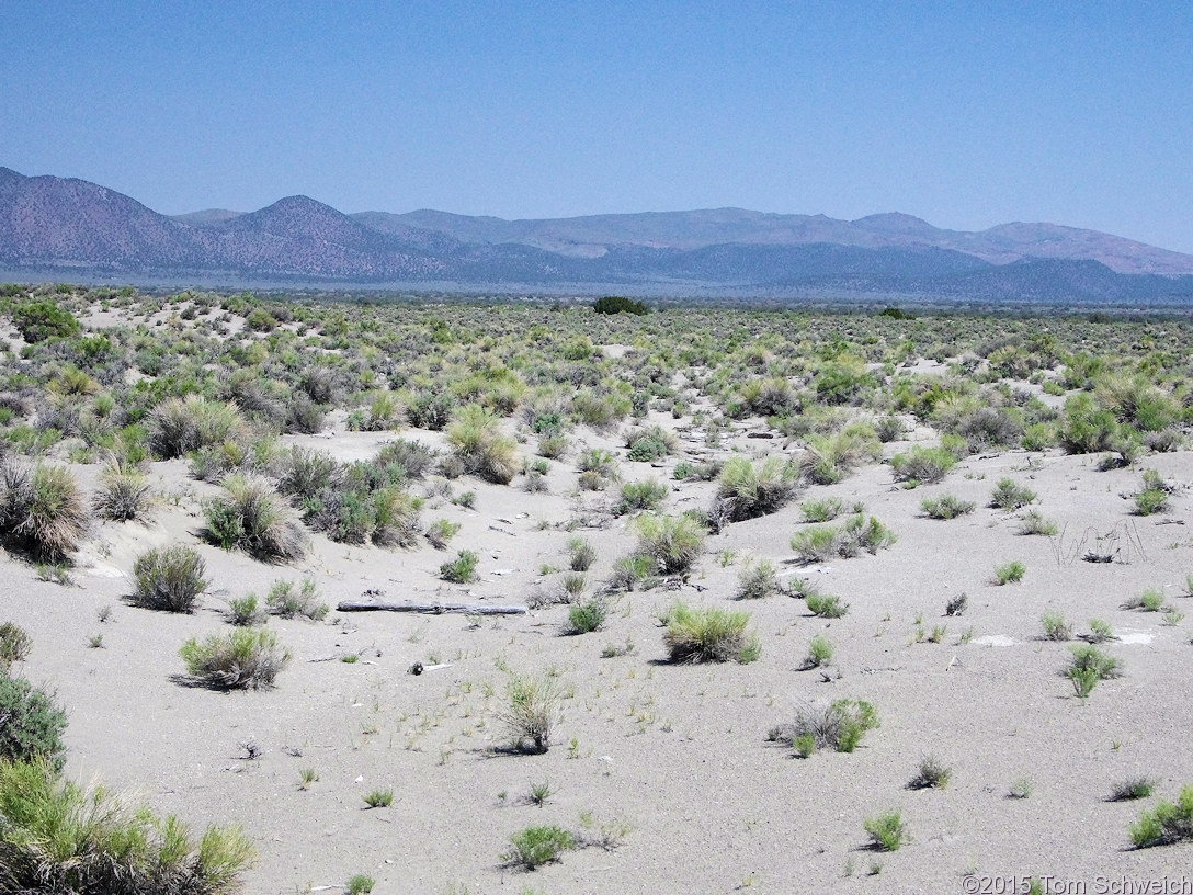 California, Mono County, Mono Valley, 01N54