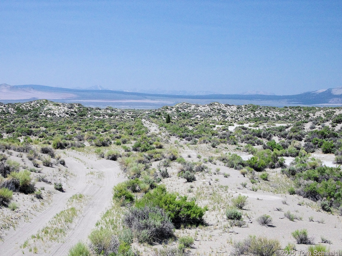 California, Mono County, Mono Valley, 01N54