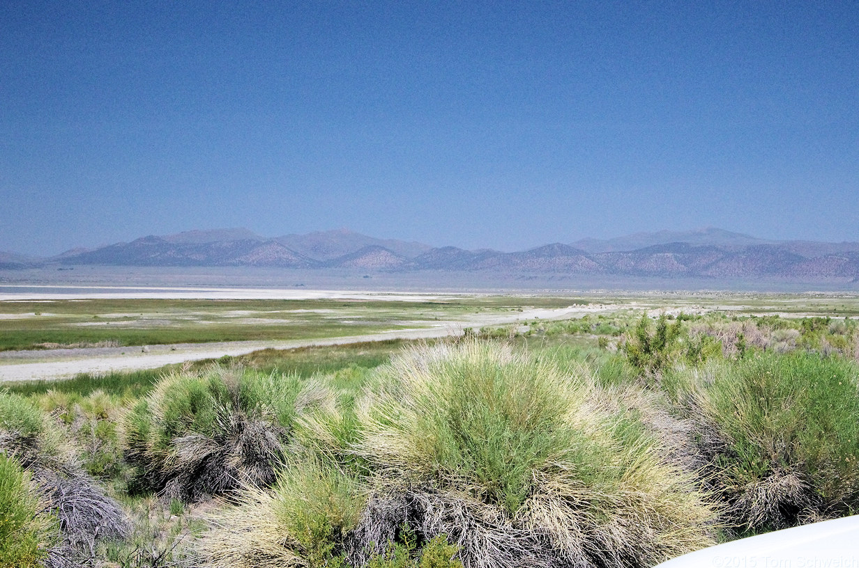 California, Mono County, Warm Springs