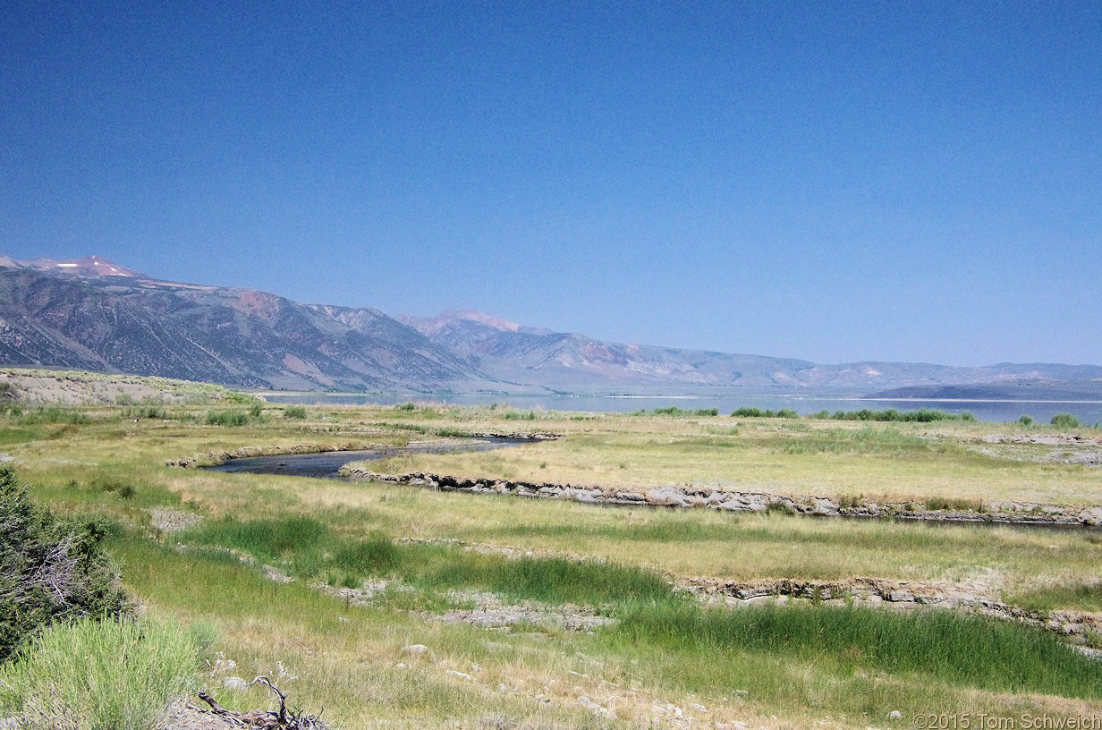 California, Mono County, California, Mono County, Rush Creek delta