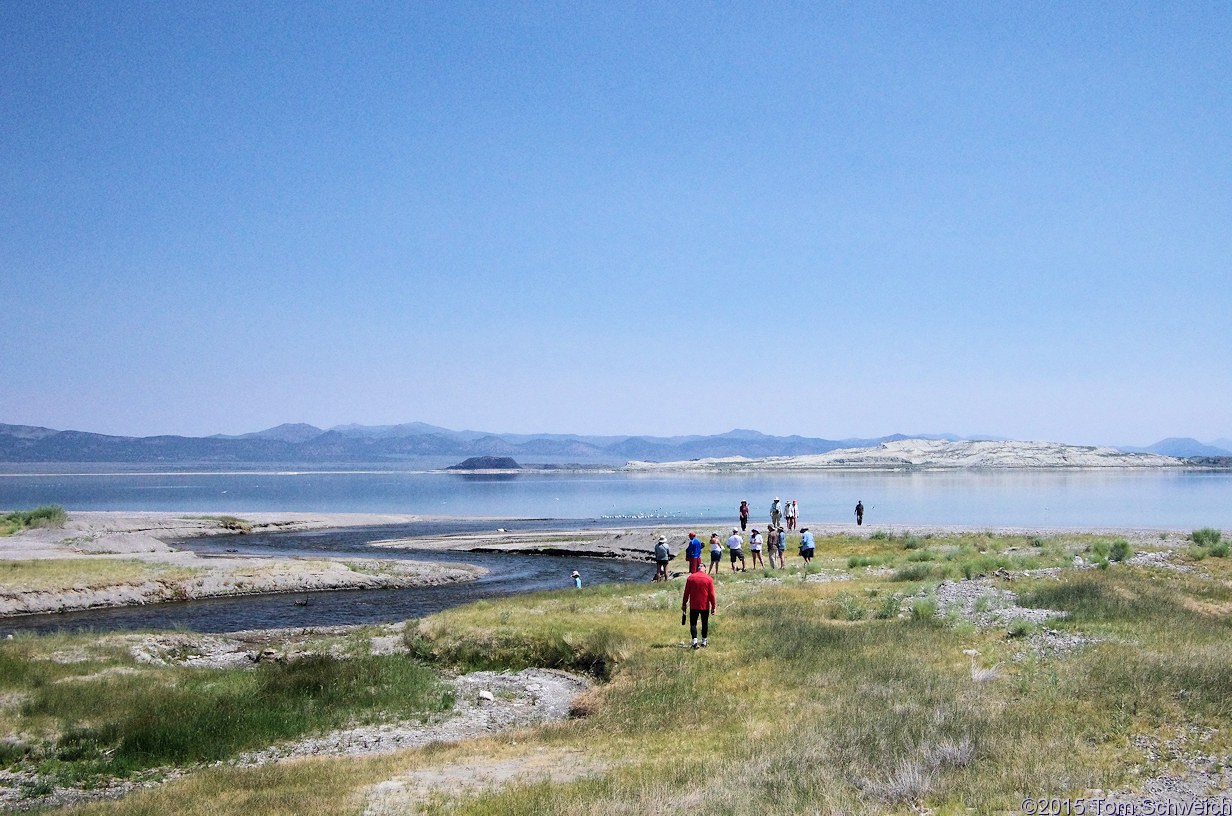 California, Mono County, California, Mono County, Rush Creek delta