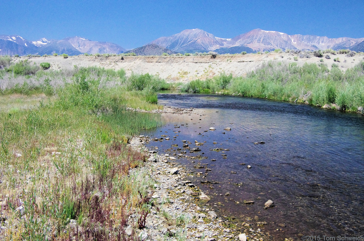 California, Mono County, California, Mono County, Rush Creek delta