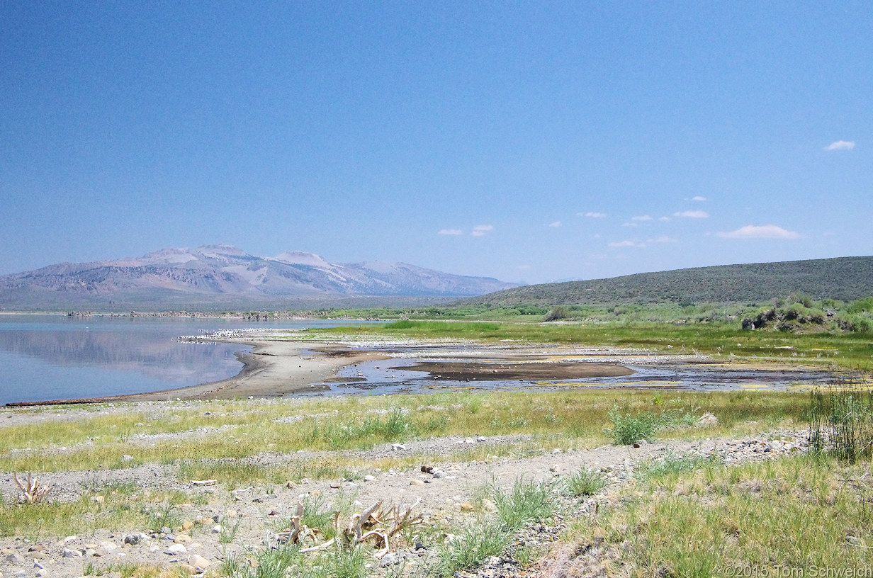 California, Mono County, Lee Vining Creek Delta