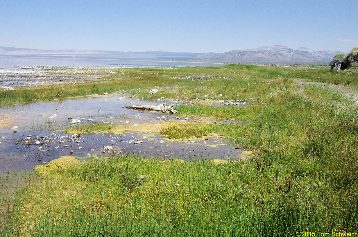 California, Mono County, Lee Vining Creek Delta