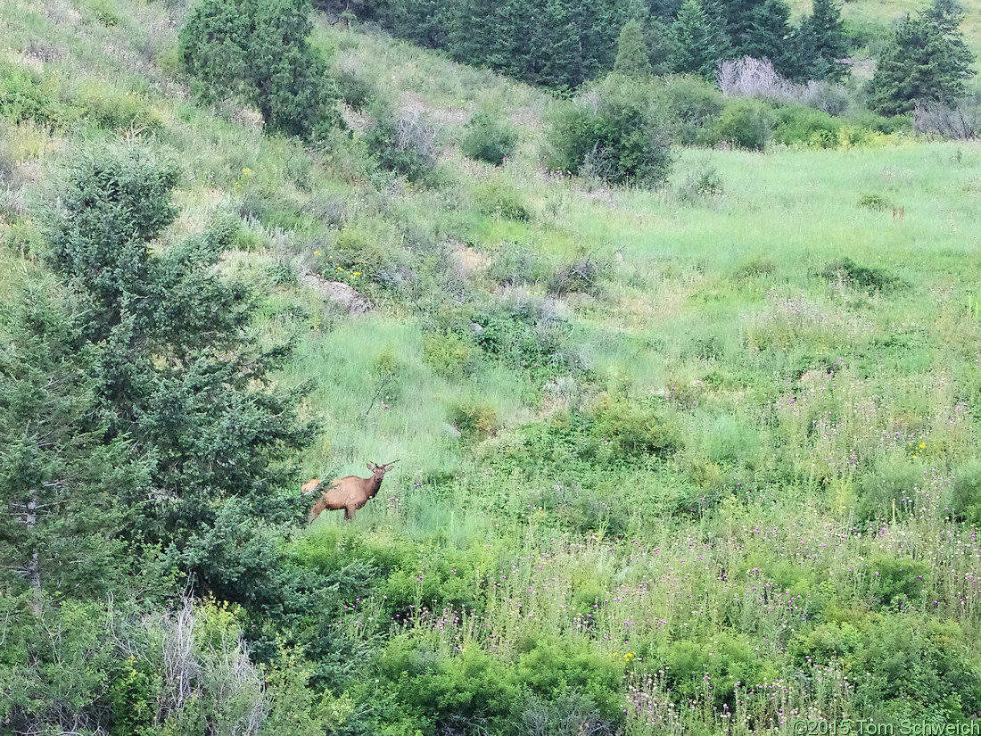 Colorado, Jefferson County, Windy Saddle Park