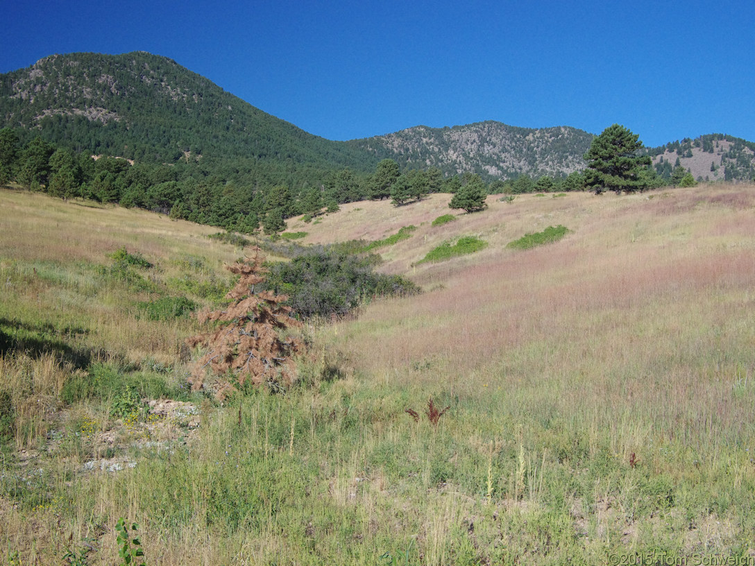 Colorado, Jefferson County, Ranson/Edwards Homestead Open Space Park