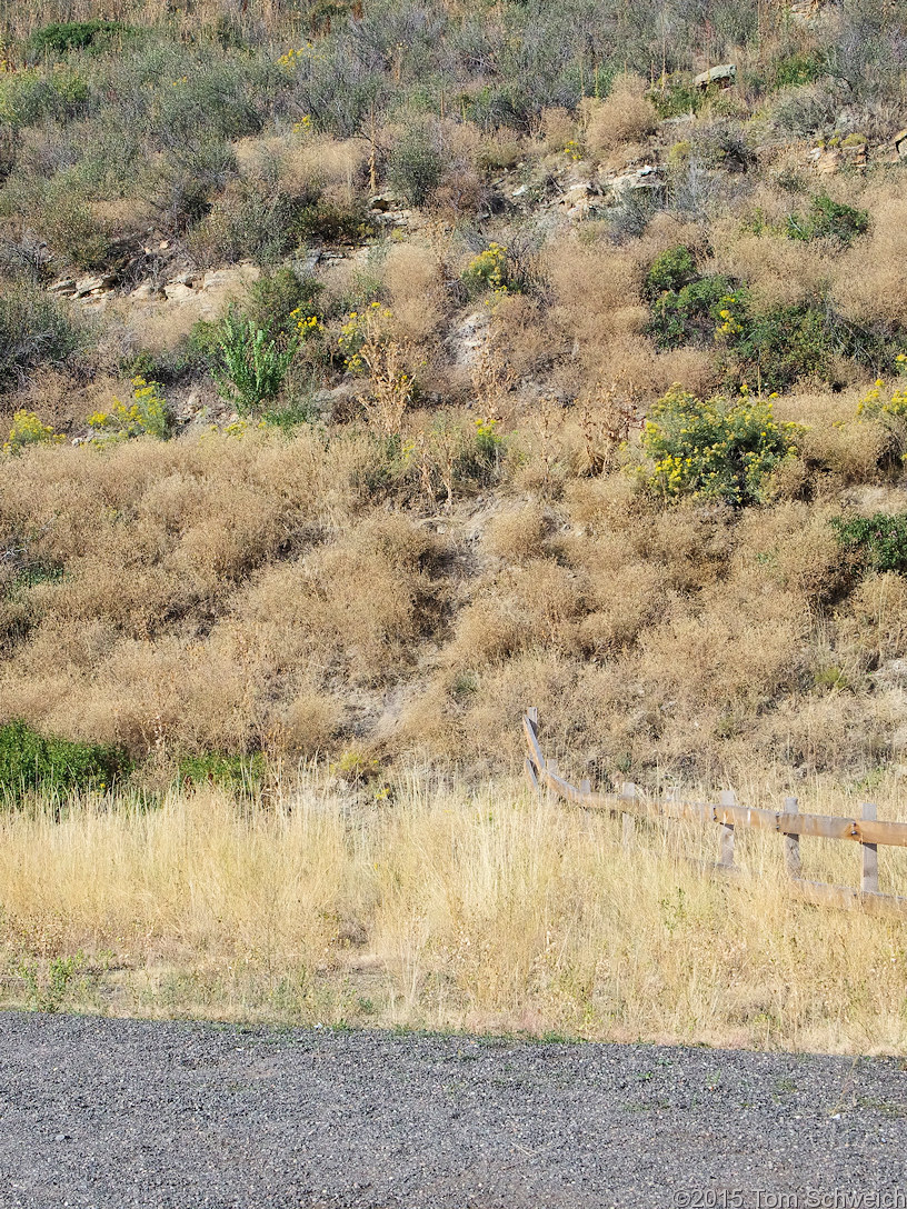 Colorado, Jefferson County, Golden, Rooney Road Sports Complex