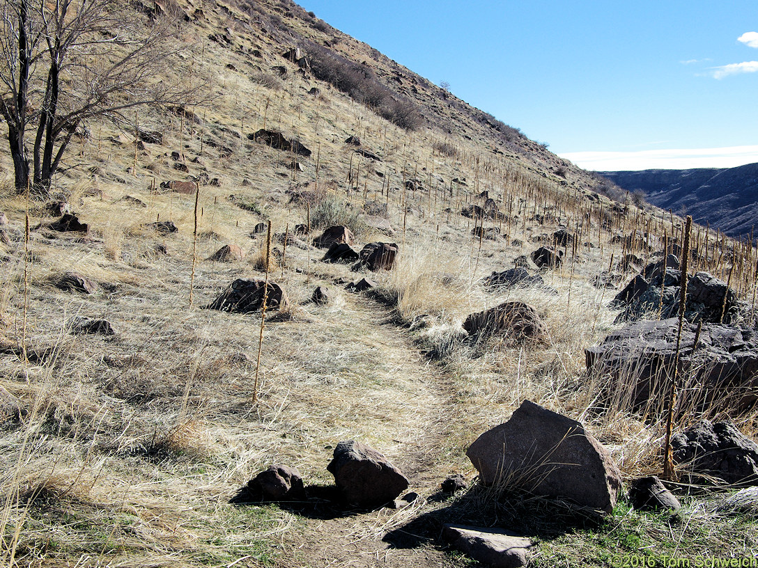 Colorado, Jefferson County, North Table Mountain