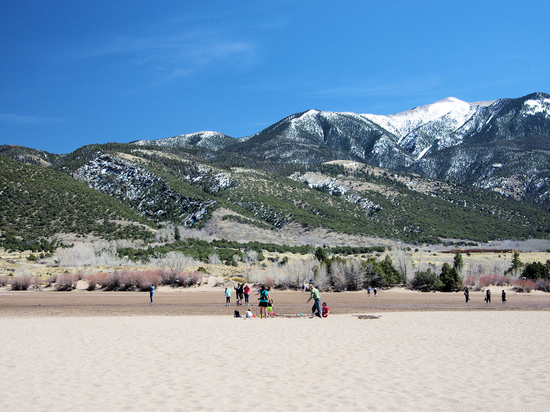 Crossing of Medano Creek to access the sand dunes.