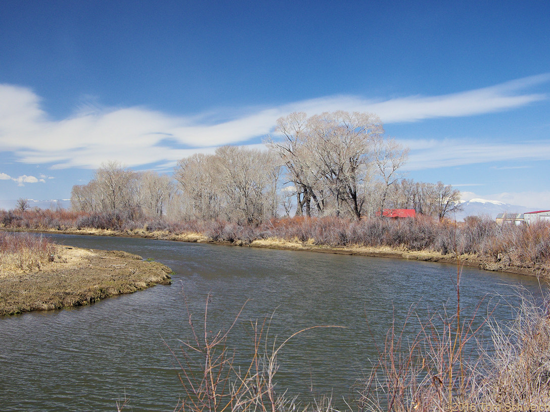 Rio Grande River in the Alamosa National Wildlife Refuge