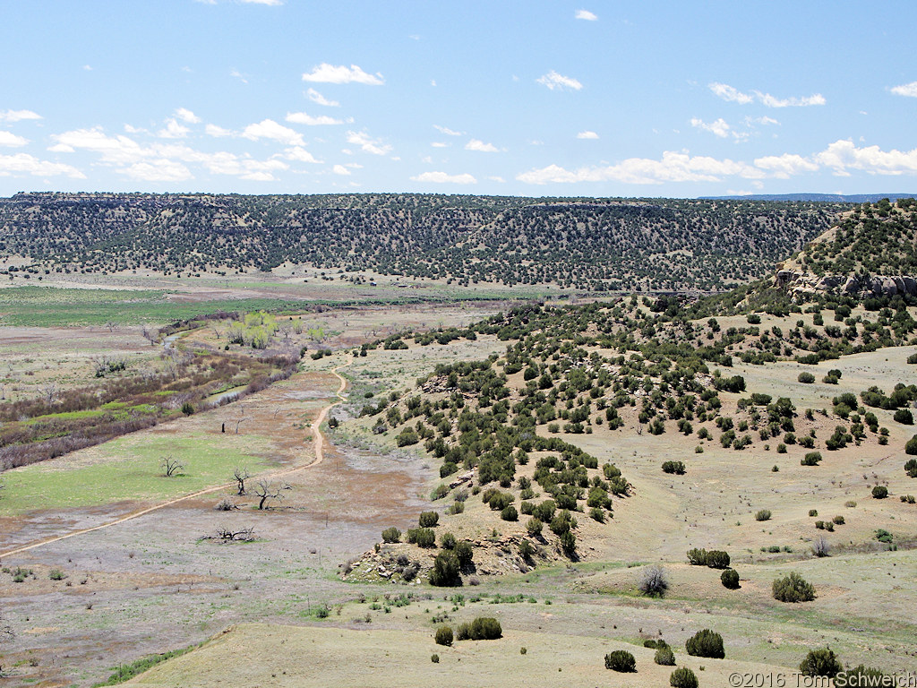 Picketwire Canyon from Withers Canyon Trailhead.