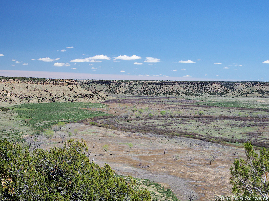 Picketwire Canyon from Withers Canyon Trailhead.