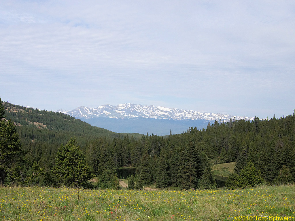 Colorado, Lake County, Evans Gulch