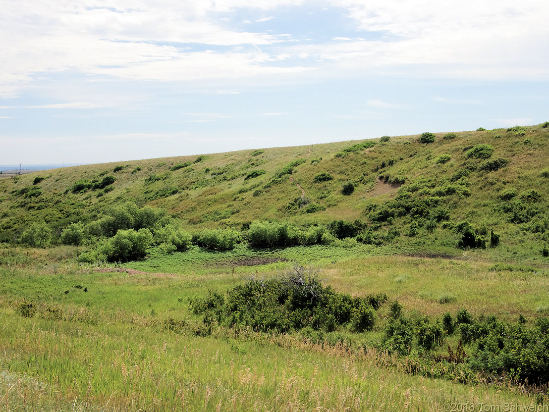 Colorado, Jefferson County, Ranson/Edwards Homestead Open Space Park