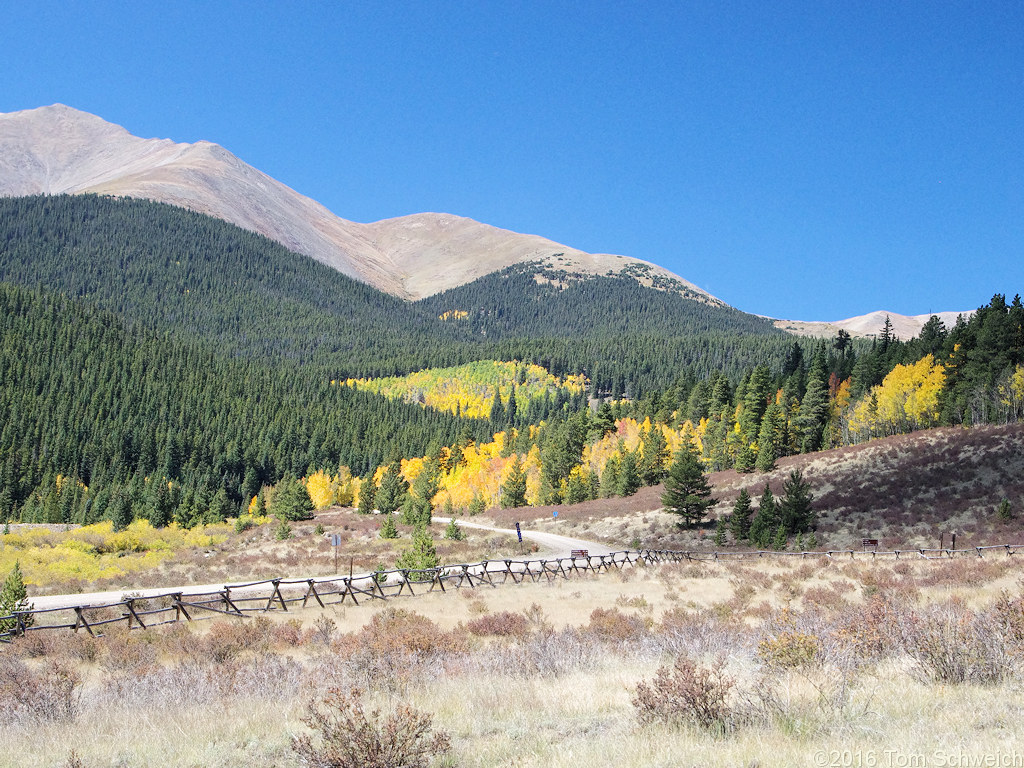 Colorado, Park County, Roberts Cabin