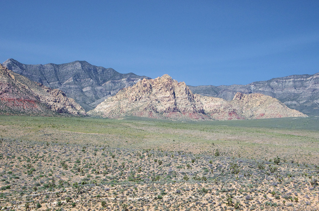 Nevada, Clark County, Red Rock Canyon National Conservation Area