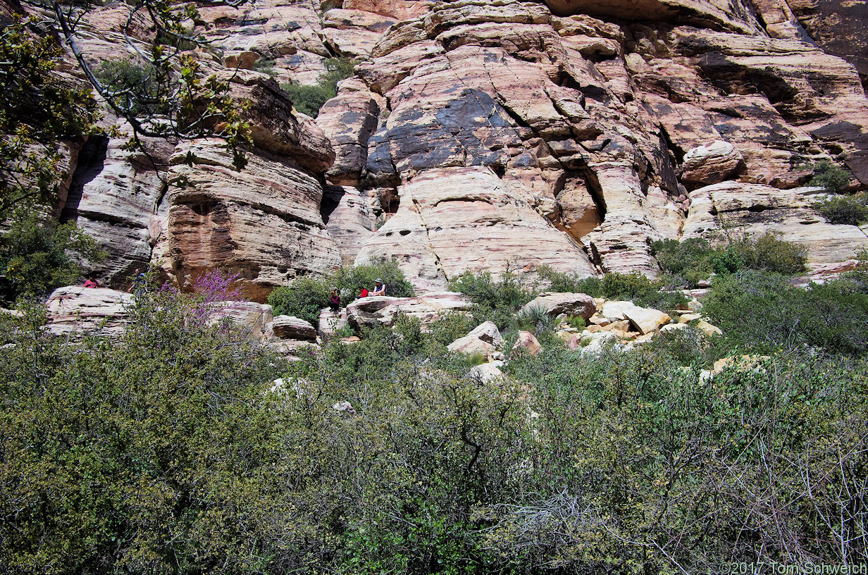 Nevada, Clark County, Red Rock Canyon National Conservation Area