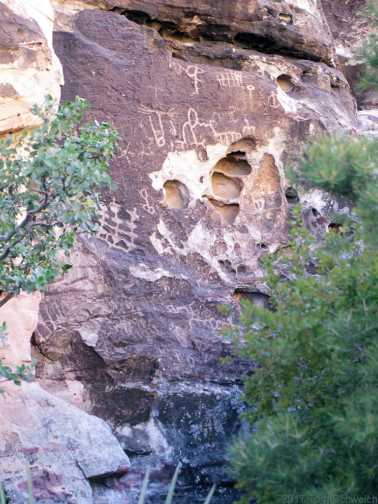 Nevada, Clark County, Red Rock Canyon National Conservation Area