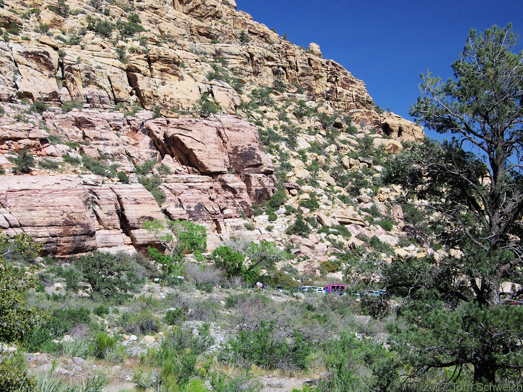 Nevada, Clark County, Red Rock Canyon National Conservation Area