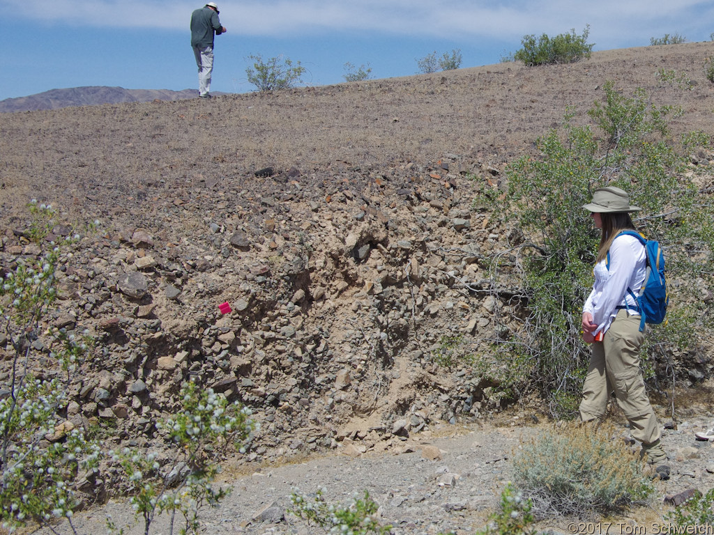 California, San Bernardino, Silurian Valley